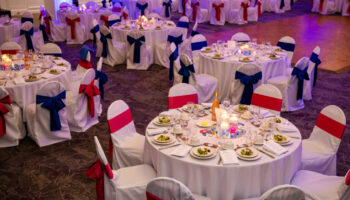 Lower Lab PS Gala