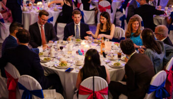 Lower Lab PS Gala