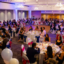 Lower Lab PS Gala