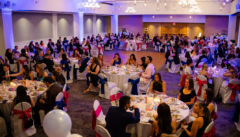 Lower Lab PS Gala